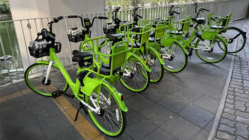 Anywheel-FamilyBike