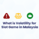 Slot Volatility cover