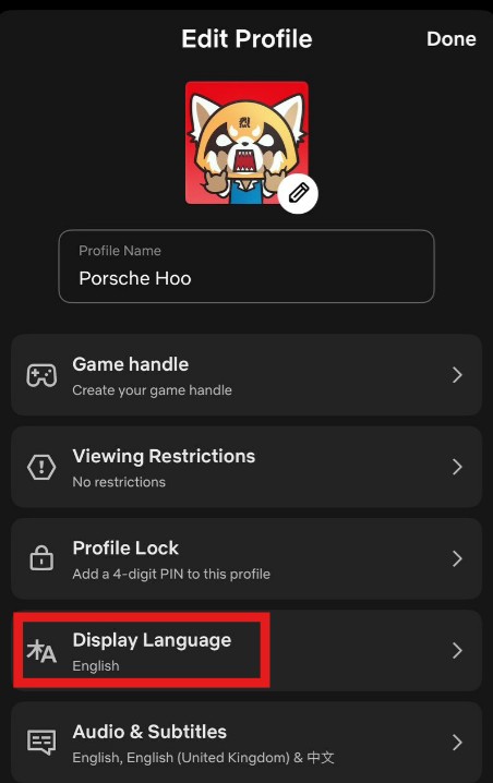 Change language on netflix