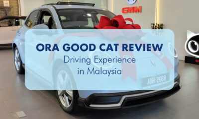 Ora good cat thumbnail