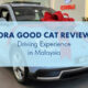 Ora good cat thumbnail