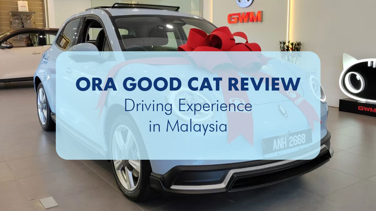 Ora good cat thumbnail