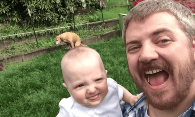 Funny Snap Ideas at Home