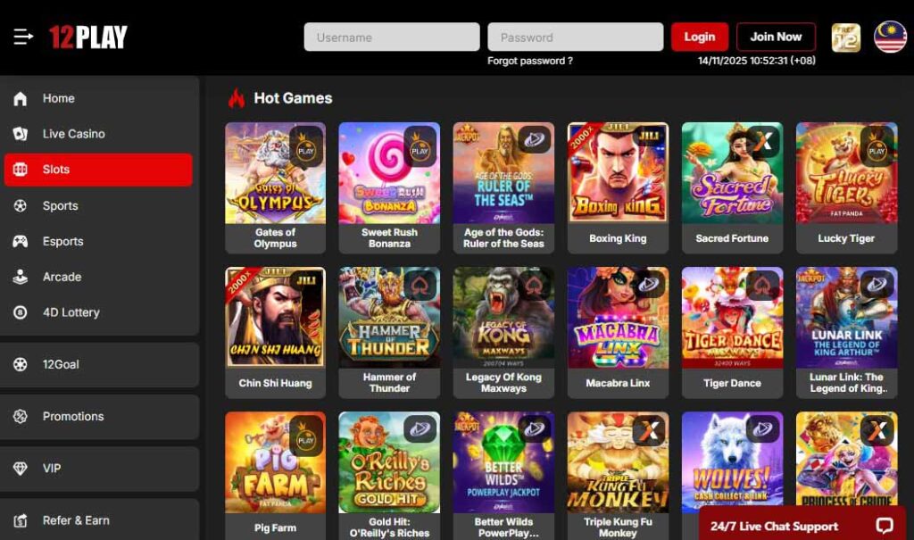 12Play games Library